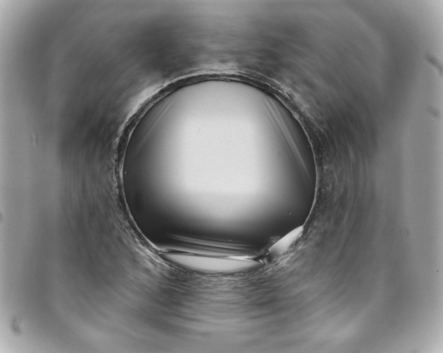 X0000097791168200803211814