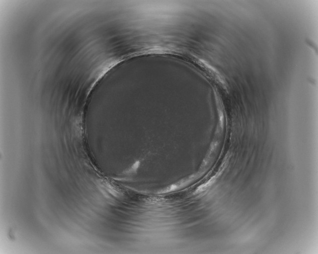 X0000097791170200803211814