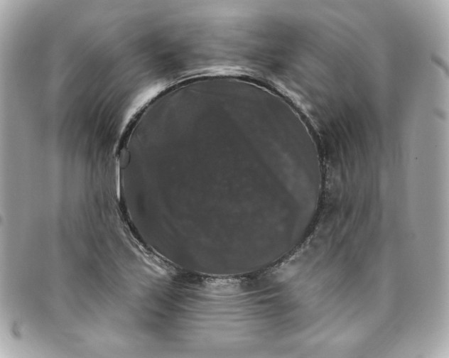 X0000097791171200803211814