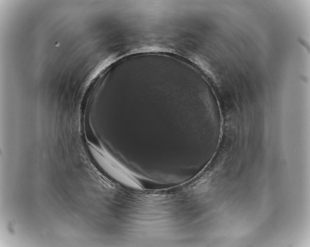 X0000097791173200803211814