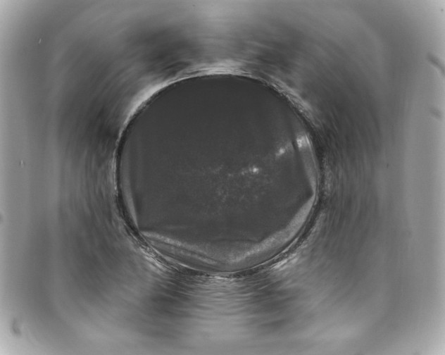 X0000097791174200803211814