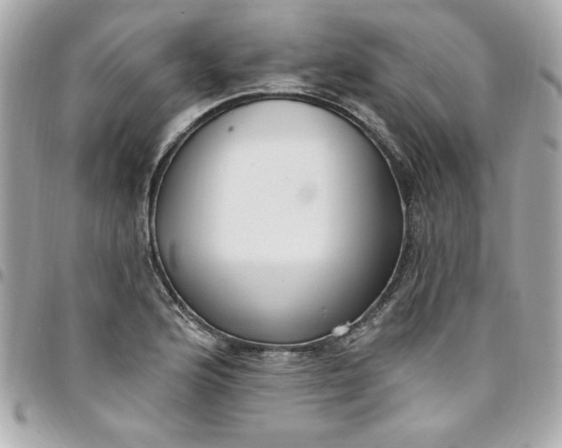 X0000097791176200803211814