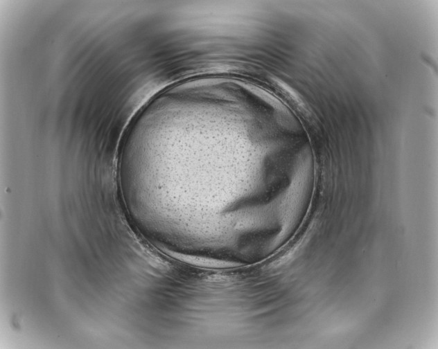 X0000097791178200803211814
