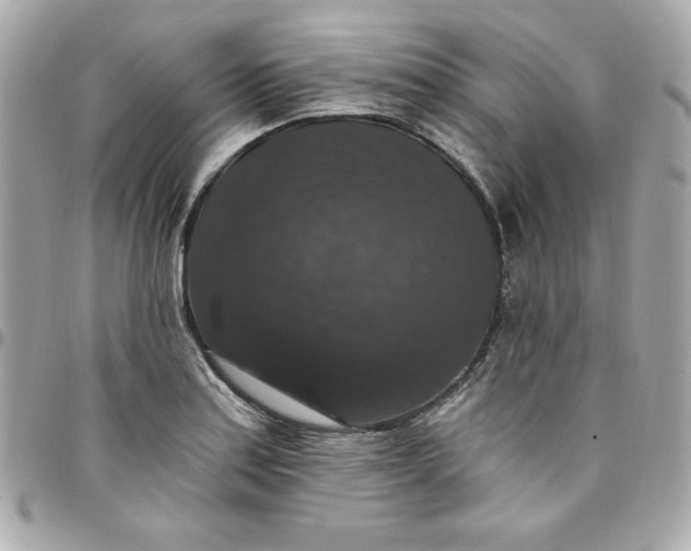 X0000097791179200803211814