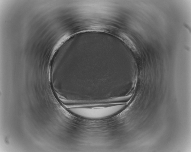 X0000097791180200803211814