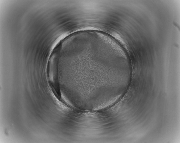 X0000097791181200803211814