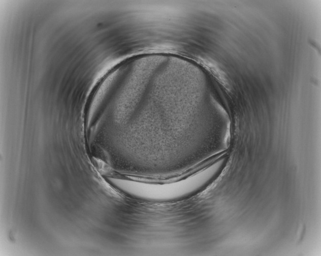 X0000097791184200803211814