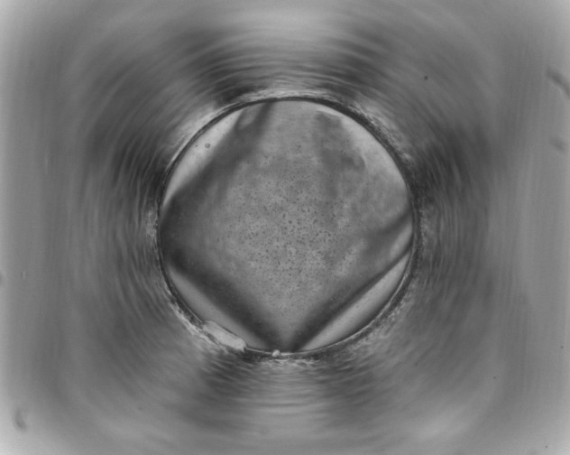 X0000097791185200803211814