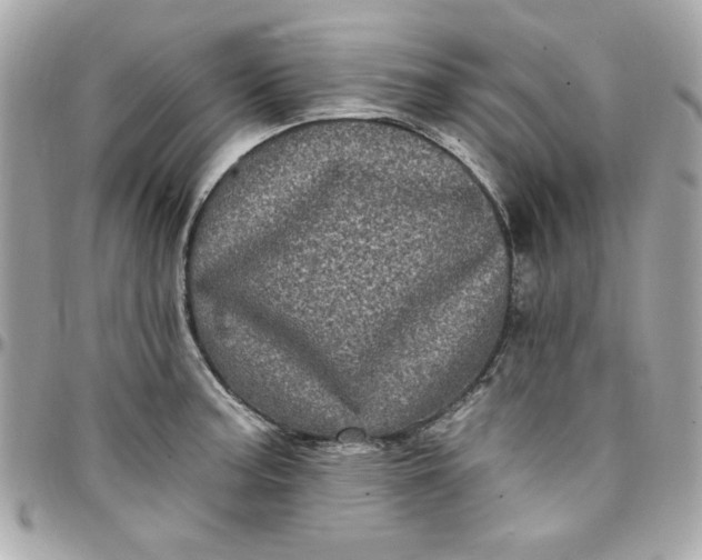 X0000097791187200803211814