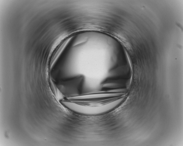X0000097791188200803211814