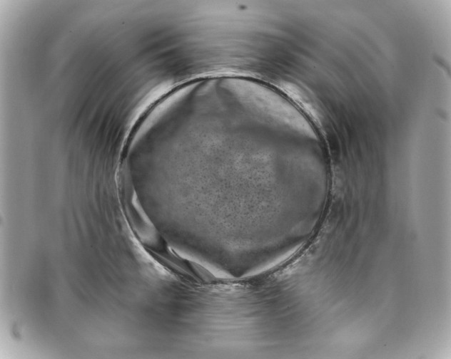 X0000097791189200803211814