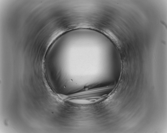 X0000097791190200803211814