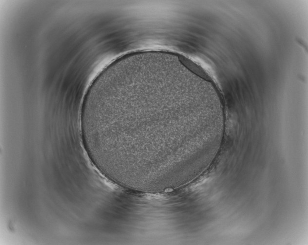 X0000097791191200803211814