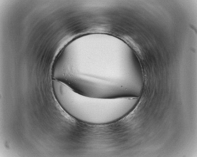 X0000097791192200803211814
