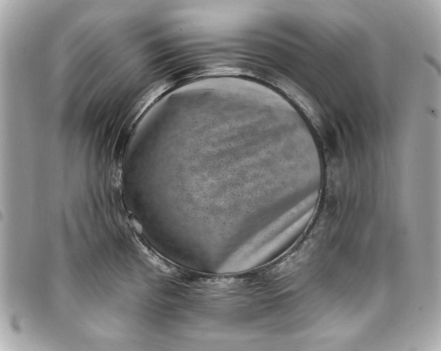 X0000097791193200803211814