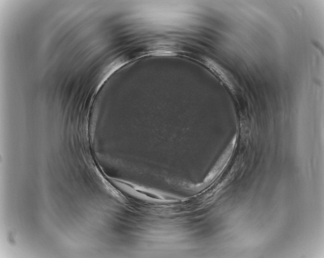 X0000097791194200803211814