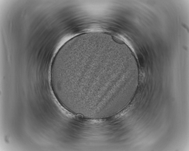 X0000097791195200803211814