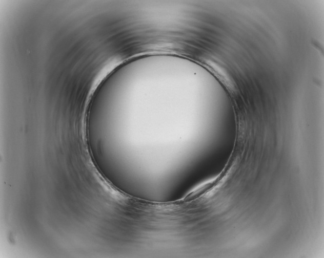 X0000097791196200803211814