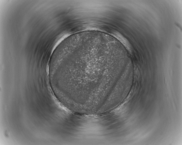 X0000097791198200803211814