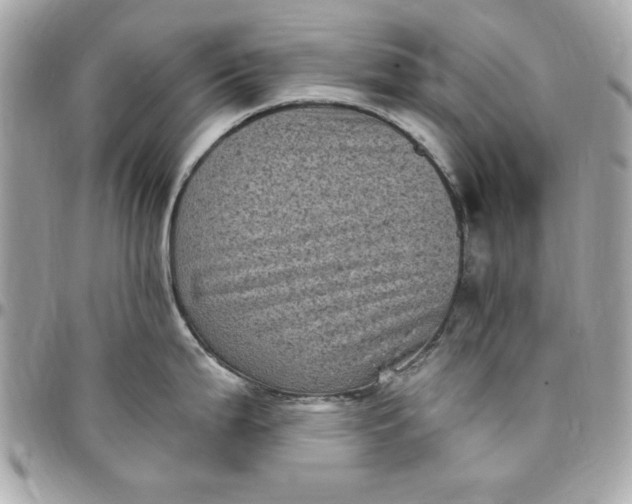 X0000097791199200803211814