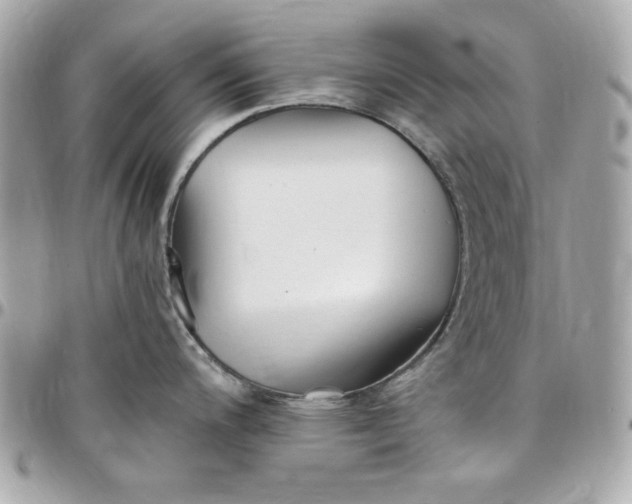 X0000097791200200803211814