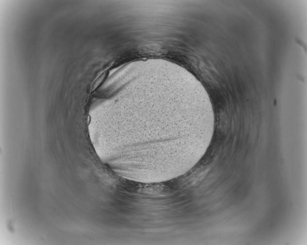 X0000097791201200803211813
