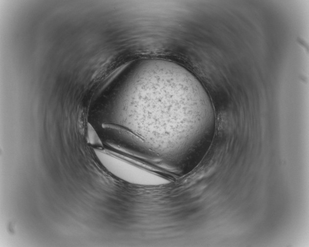 X0000097791202200803211813