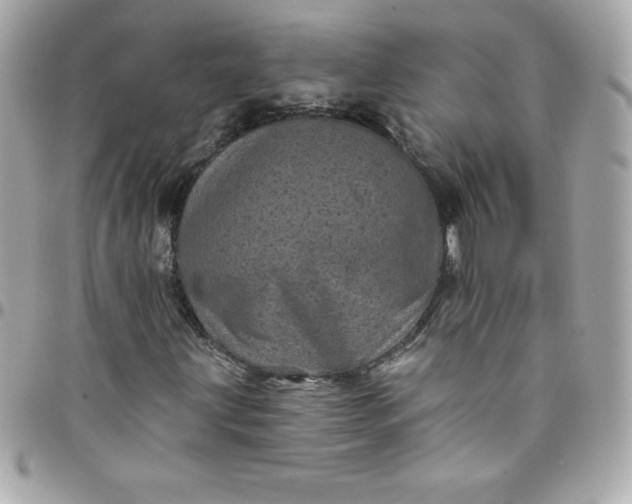 X0000097791203200803211813