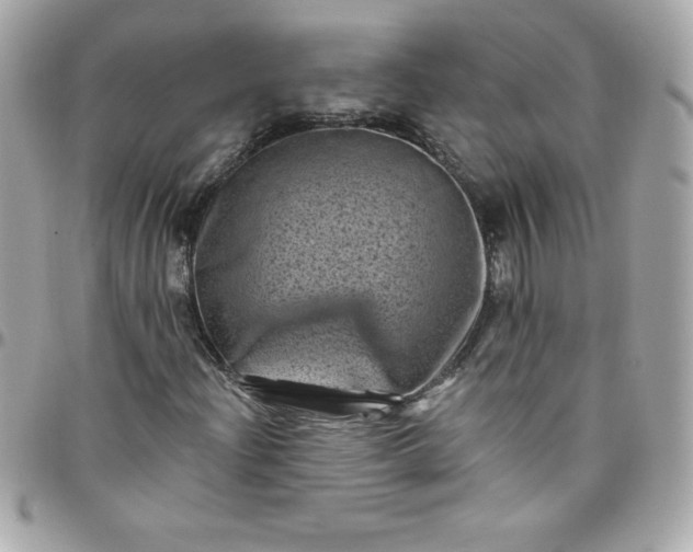 X0000097791204200803211813