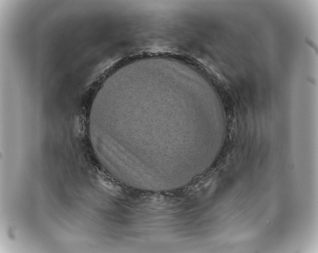 X0000097791207200803211813