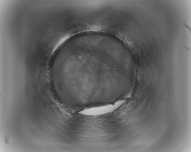 X0000097791208200803211813