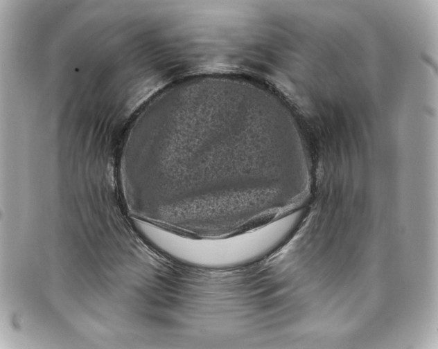 X0000097791209200803211813