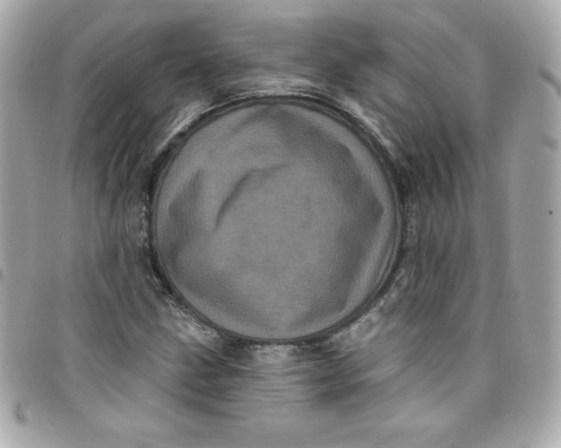 X0000097791211200803211813