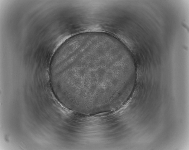 X0000097791212200803211813