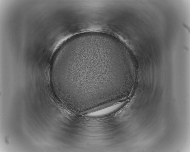 X0000097791214200803211813