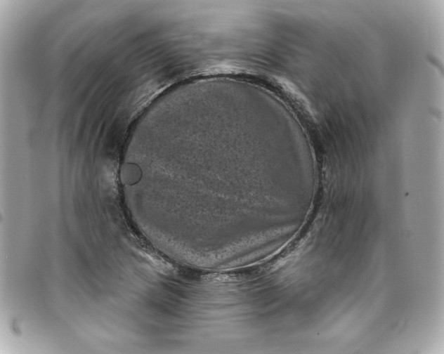 X0000097791217200803211813