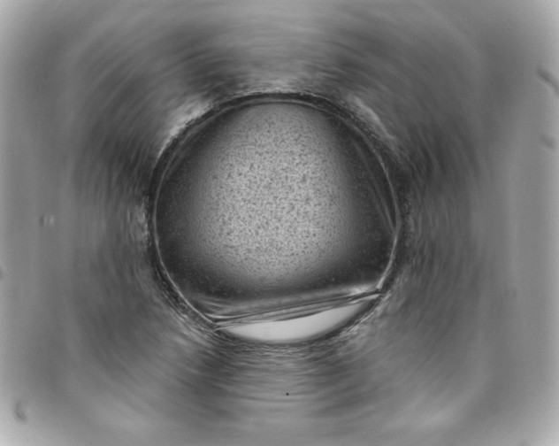 X0000097791218200803211813