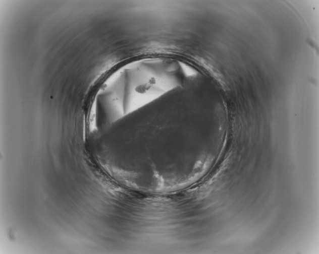X0000097791219200803211813