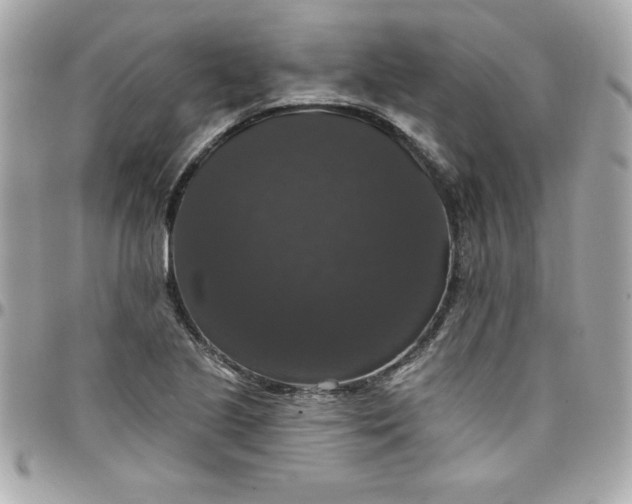 X0000097791221200803211814
