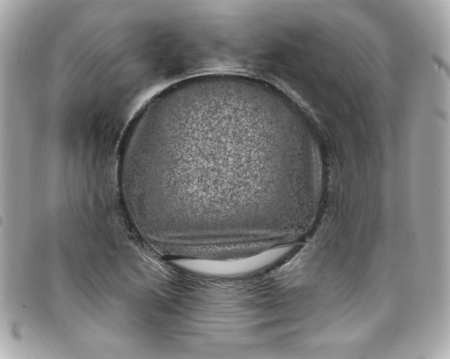 X0000097791222200803211814