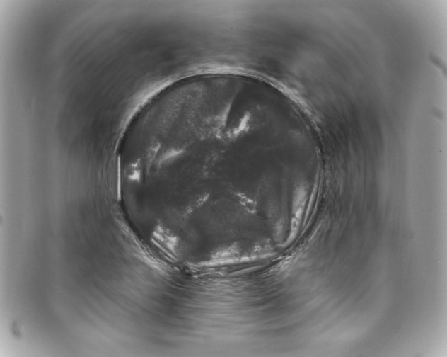 X0000097791223200803211814