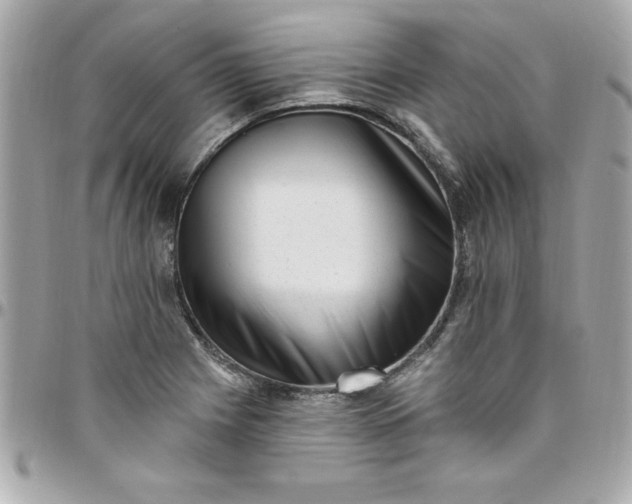 X0000097791225200803211814