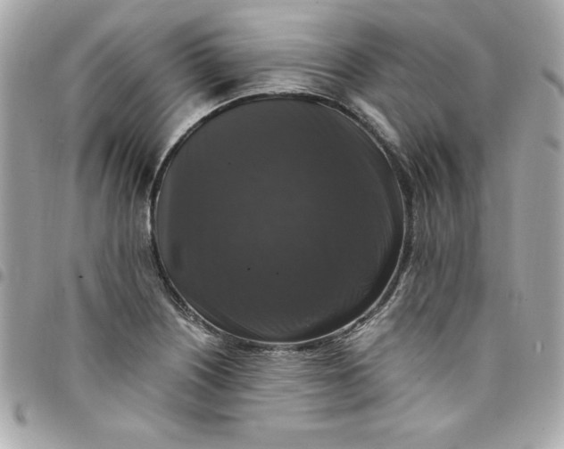 X0000097791226200803211814