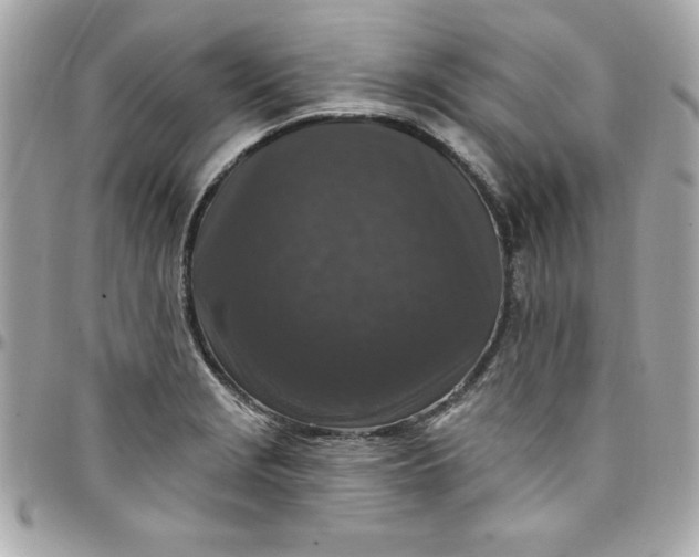 X0000097791229200803211814