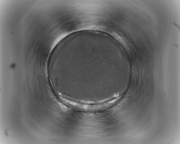 X0000097791230200803211814