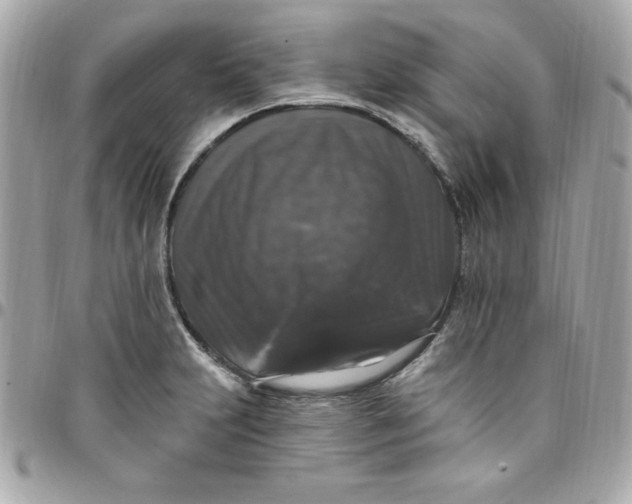 X0000097791231200803211814