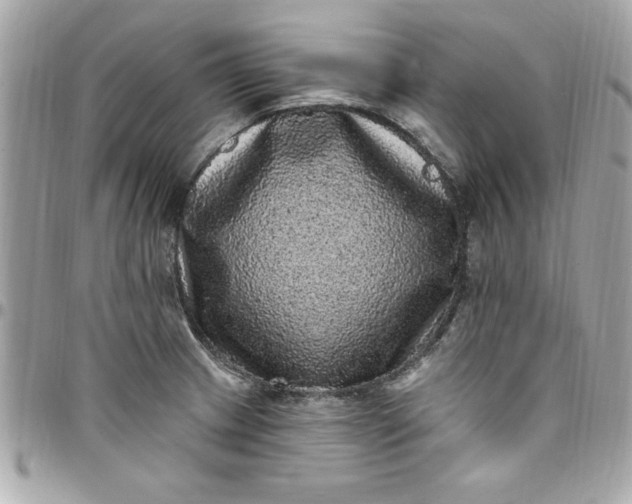 X0000097791233200803211814
