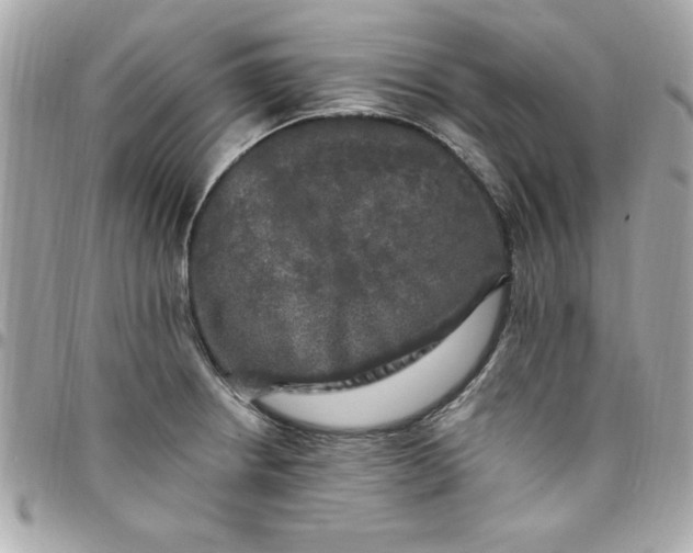 X0000097791234200803211814