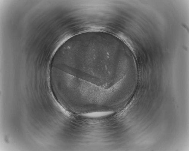 X0000097791235200803211814