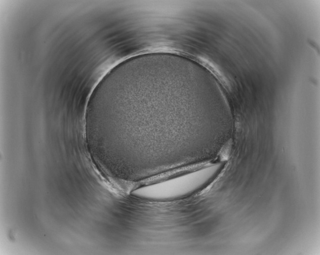 X0000097791236200803211814